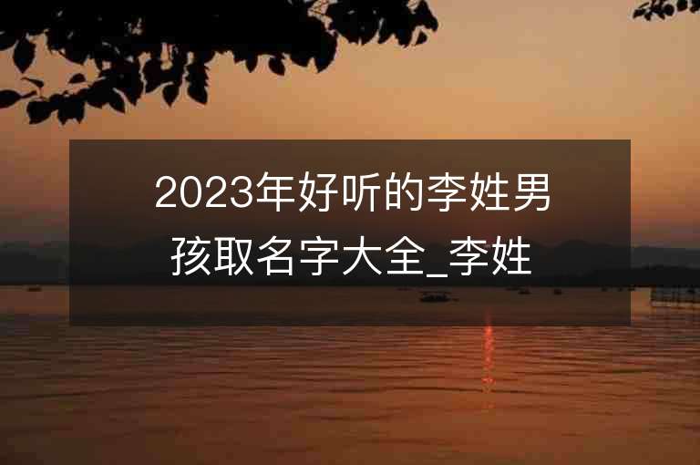 2023年好听的李姓男孩取名字大全_李姓男孩子名字大全2023起名