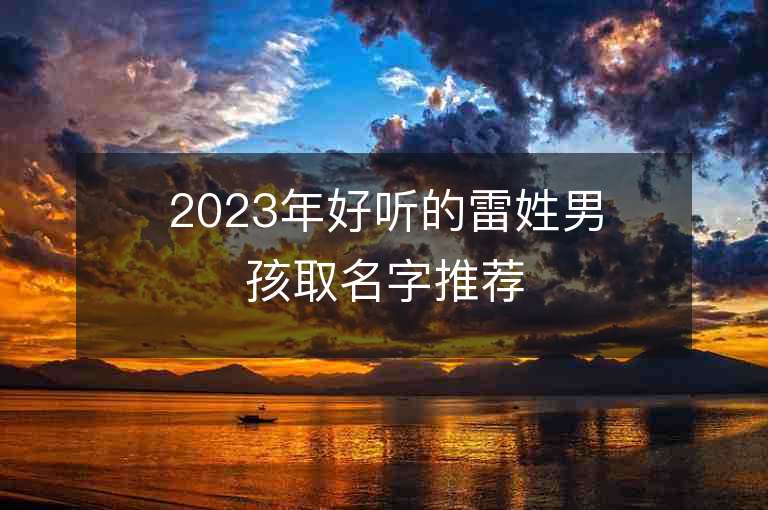 2023年好听的雷姓男孩取名字推荐