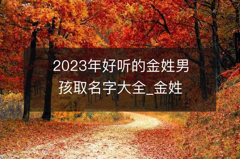 2023年好听的金姓男孩取名字大全_金姓男孩子名字大全2023起名