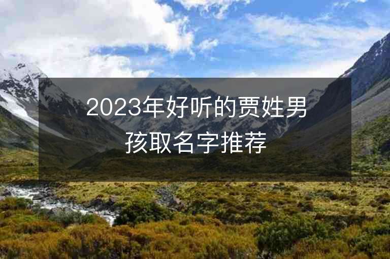 2023年好听的贾姓男孩取名字推荐