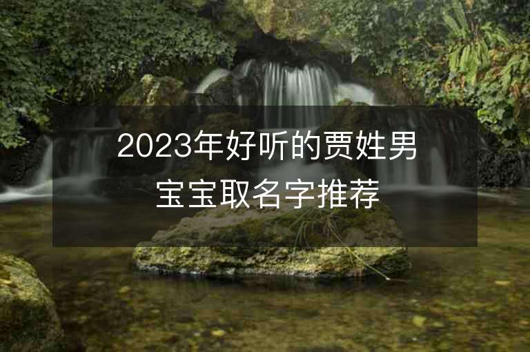 2023年好听的贾姓男宝宝取名字推荐