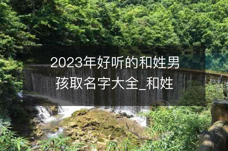 2023年好听的和姓男孩取名字大全_和姓男孩子名字大全2023起名