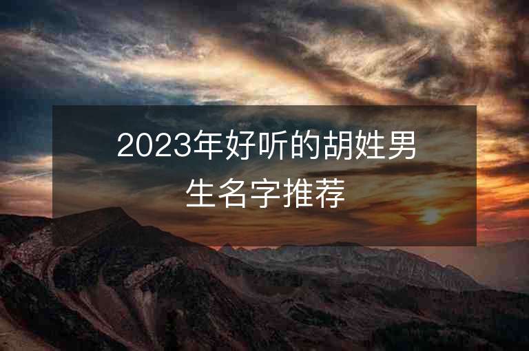 2023年好听的胡姓男生名字推荐