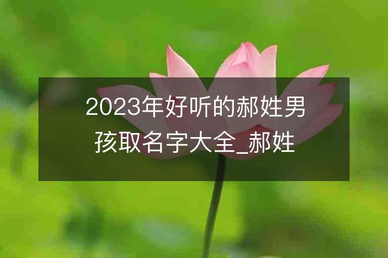 2023年好听的郝姓男孩取名字大全_郝姓男孩子名字大全2023起名