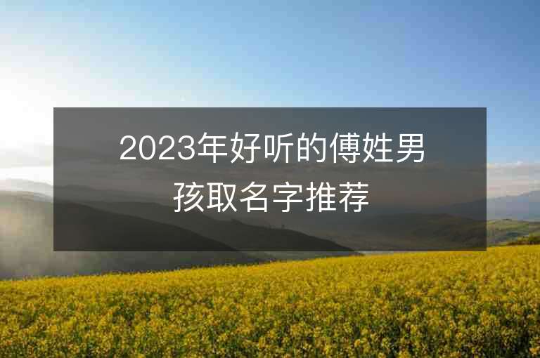 2023年好听的傅姓男孩取名字推荐