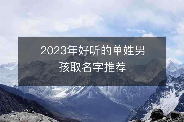 2023年好听的单姓男孩取名字推荐