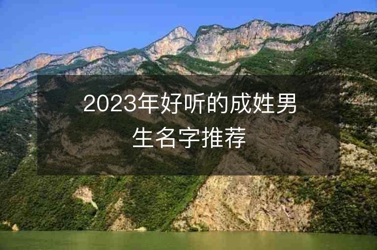 2023年好听的成姓男生名字推荐