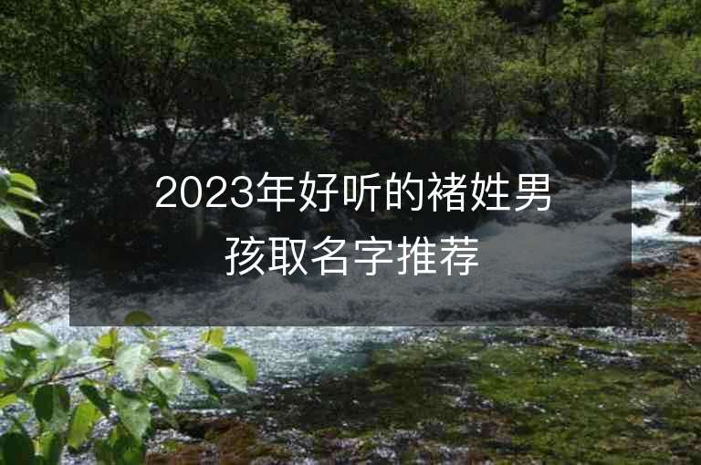 2023年好听的褚姓男孩取名字推荐