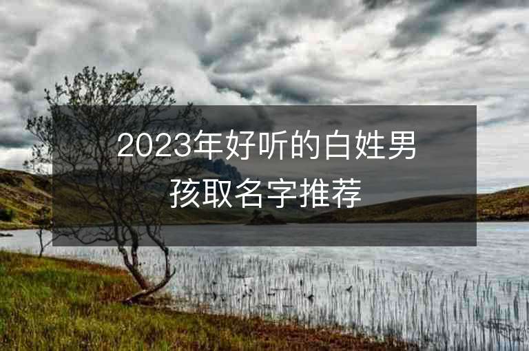 2023年好听的白姓男孩取名字推荐