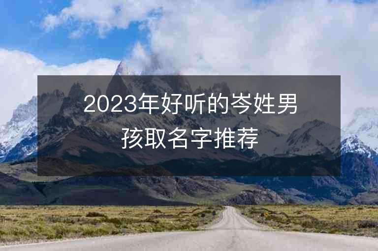 2023年好听的岑姓男孩取名字推荐