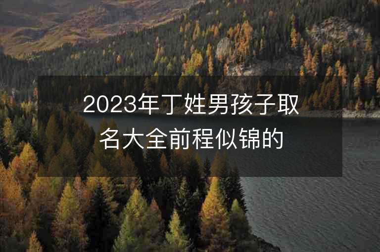 2023年丁姓男孩子取名大全前程似锦的丁氏男宝宝取名字推荐