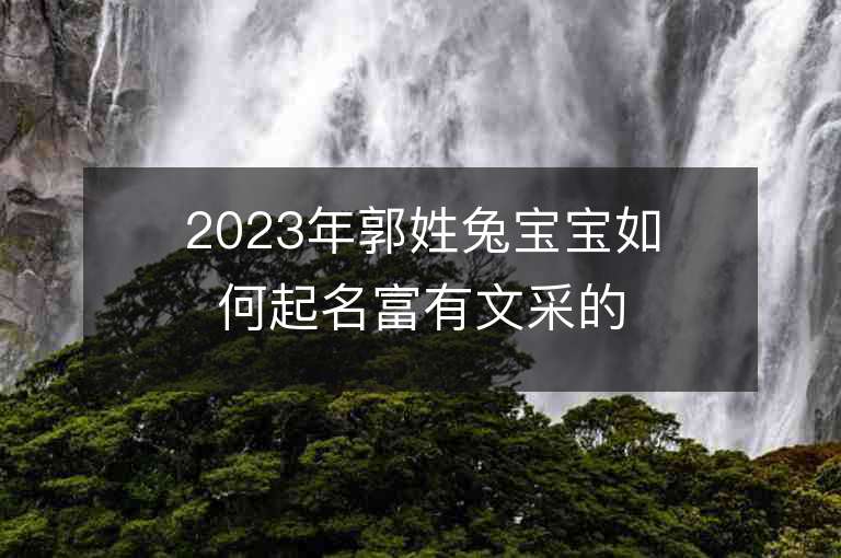 2023年郭姓兔宝宝如何起名富有文采的郭氏小孩名字推荐