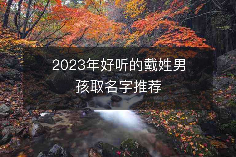 2023年好听的戴姓男孩取名字推荐