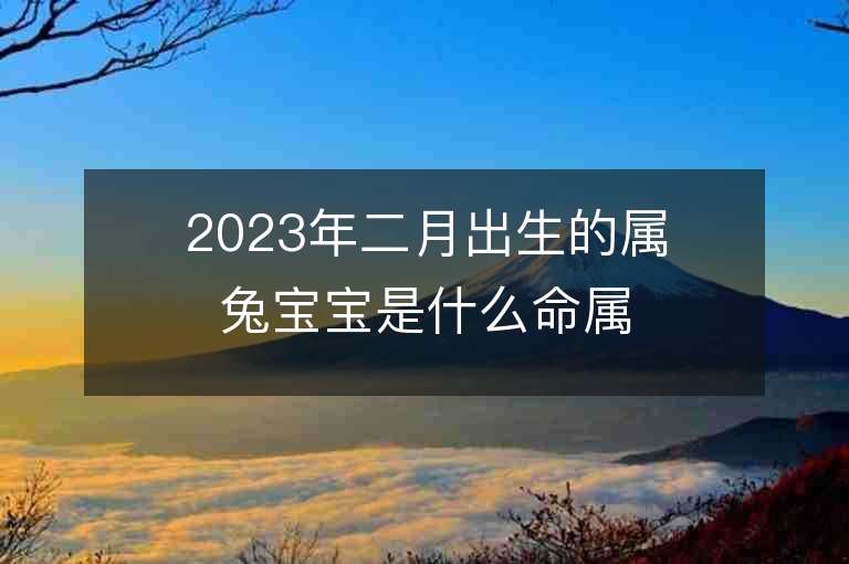 2023年二月出生的属兔宝宝是什么命属兔的女生起名大全