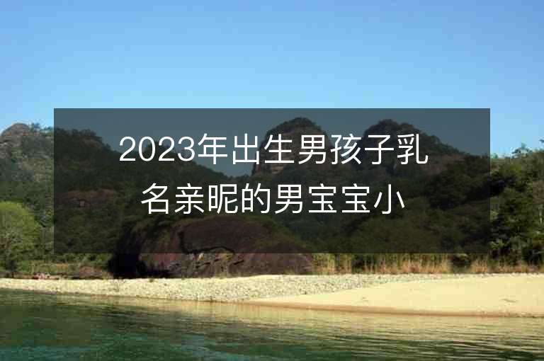 2023年出生男孩子乳名亲昵的男宝宝小名推荐