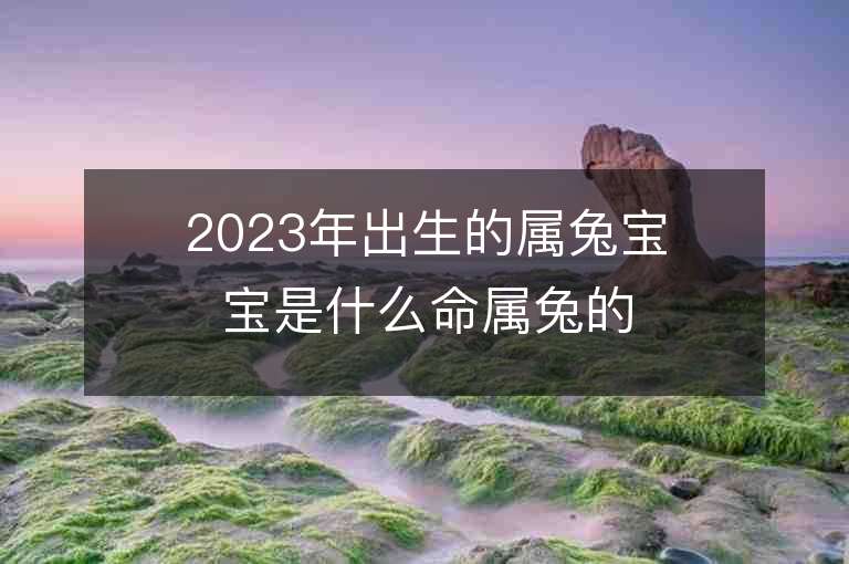 2023年出生的属兔宝宝是什么命属兔的人起什么名字最好