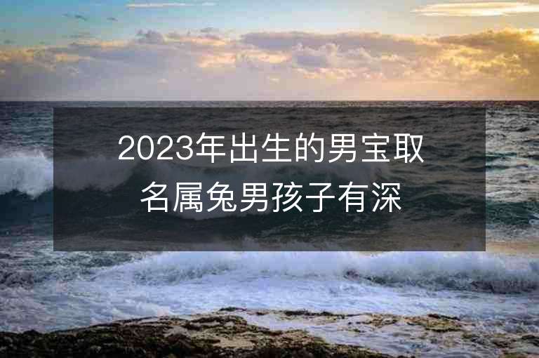 2023年出生的男宝取名属兔男孩子有深意的名字推荐