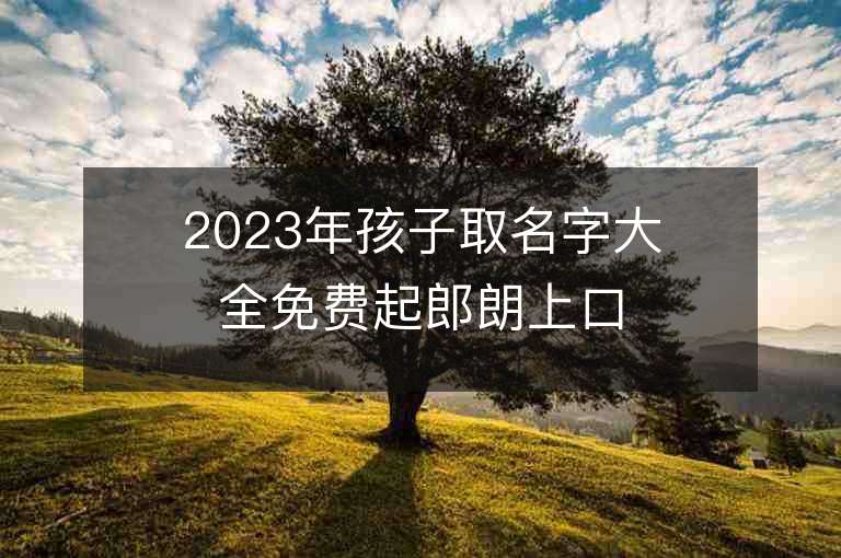 2023年孩子取名字大全免费起郎朗上口的好名