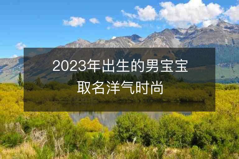 2023年出生的男宝宝取名洋气时尚