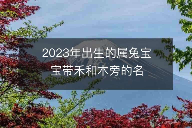 2023年出生的属兔宝宝带禾和木旁的名字充满希望的男孩子名