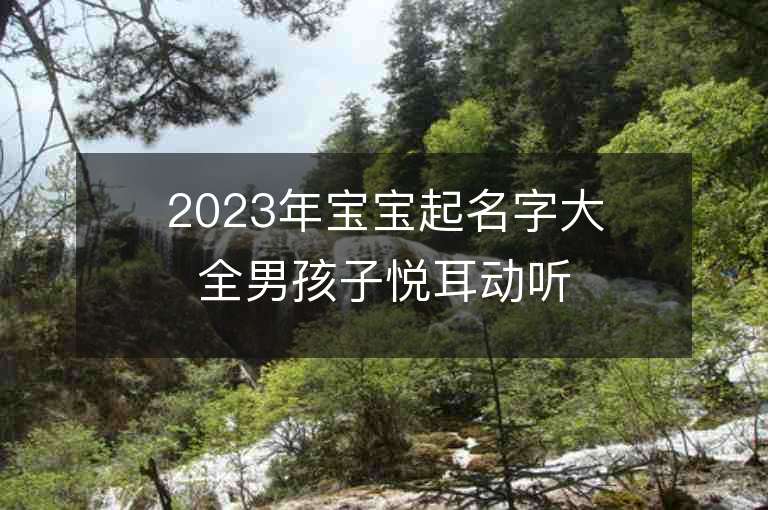 2023年宝宝起名字大全男孩子悦耳动听的男宝宝取名推荐