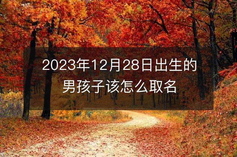 2023年12月28日出生的男孩子该怎么取名寓意甚好的男宝名