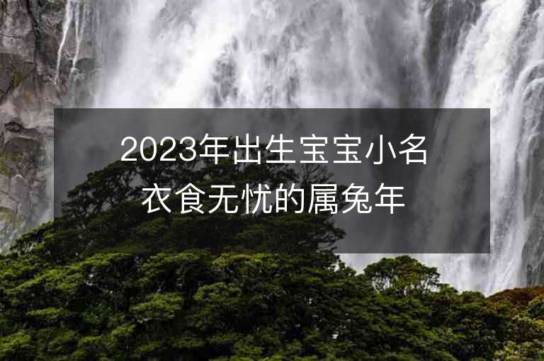 2023年出生宝宝小名衣食无忧的属兔年小孩乳名