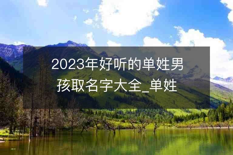 2023年好听的单姓男孩取名字大全_单姓男孩子名字大全2023起名