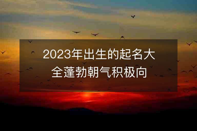 2023年出生的起名大全蓬勃朝气积极向上的属兔宝宝起名