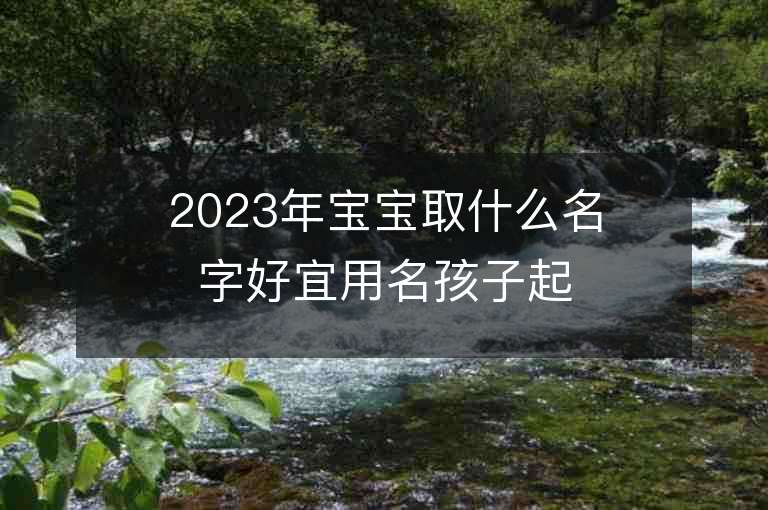 2023年宝宝取什么名字好宜用名孩子起名属兔2023年