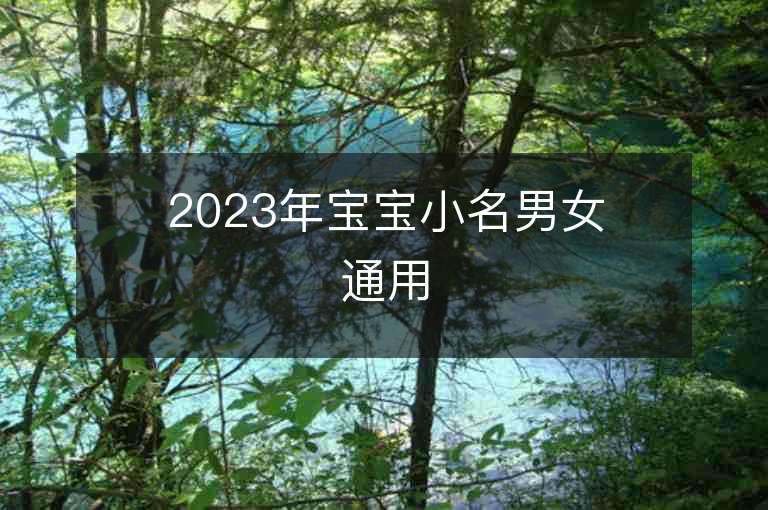 2023年宝宝小名男女通用