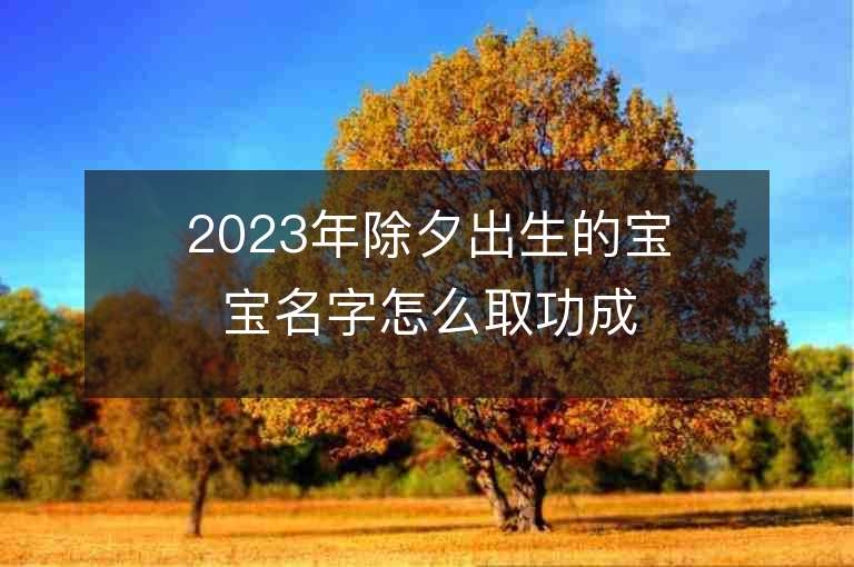 2023年除夕出生的宝宝名字怎么取功成名就品德美好的宝宝名字推荐