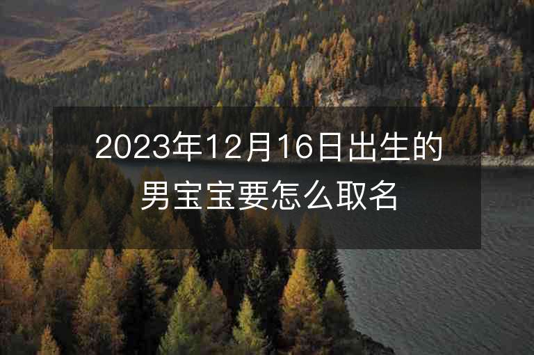 2023年12月16日出生的男宝宝要怎么取名起名方法