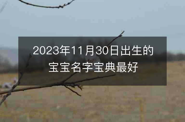 2023年11月30日出生的宝宝名字宝典最好听的名字精选推荐