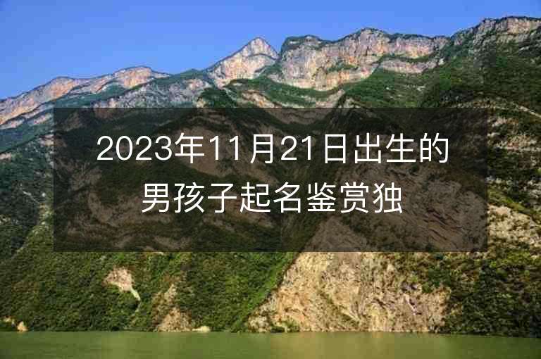 2023年11月21日出生的男孩子起名鉴赏独特的名字推荐