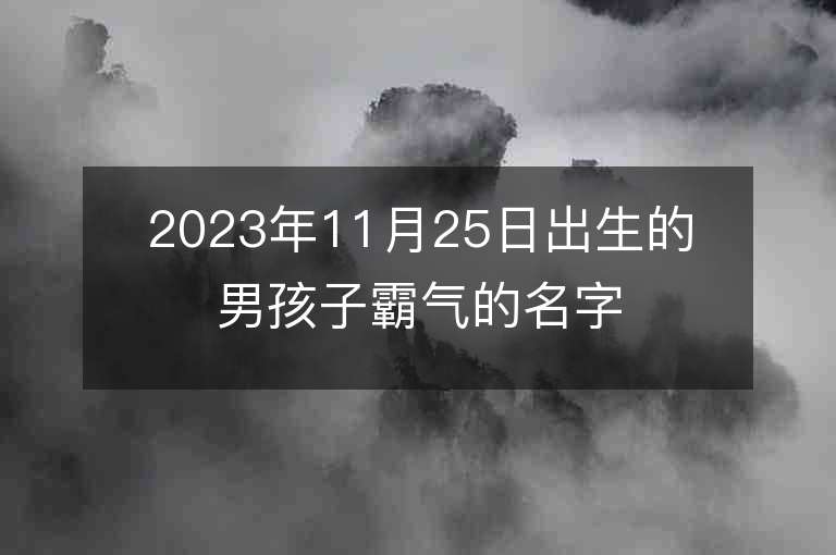 2023年11月25日出生的男孩子霸气的名字男宝宝阳刚的名字推荐