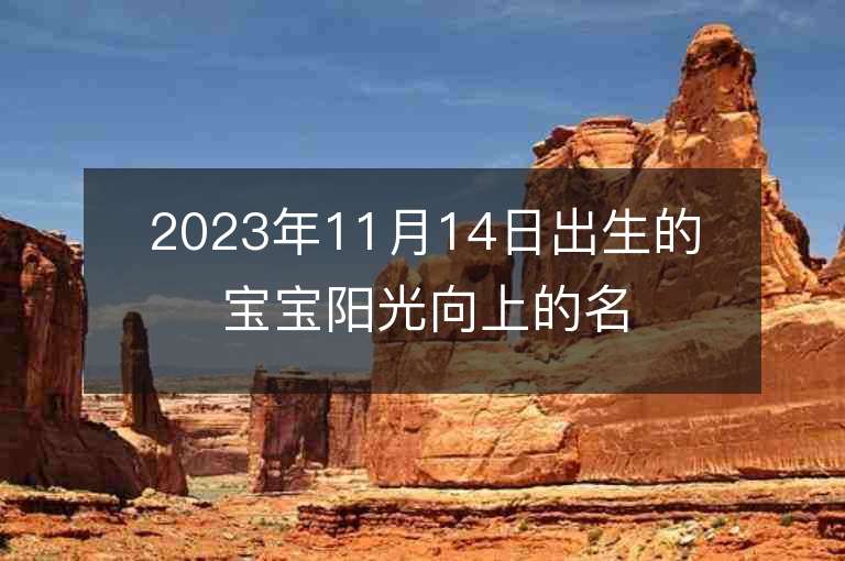 2023年11月14日出生的宝宝阳光向上的名字独特有寓意的名字单字推荐