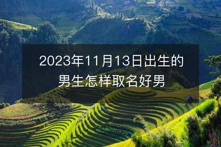 2023年11月13日出生的男生怎样取名好男宝宝好听的名字推荐