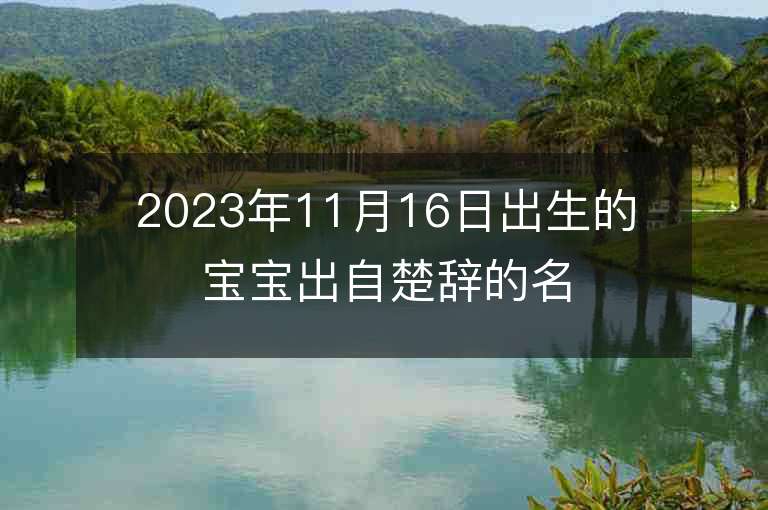 2023年11月16日出生的宝宝出自楚辞的名字男女宝起名鉴赏