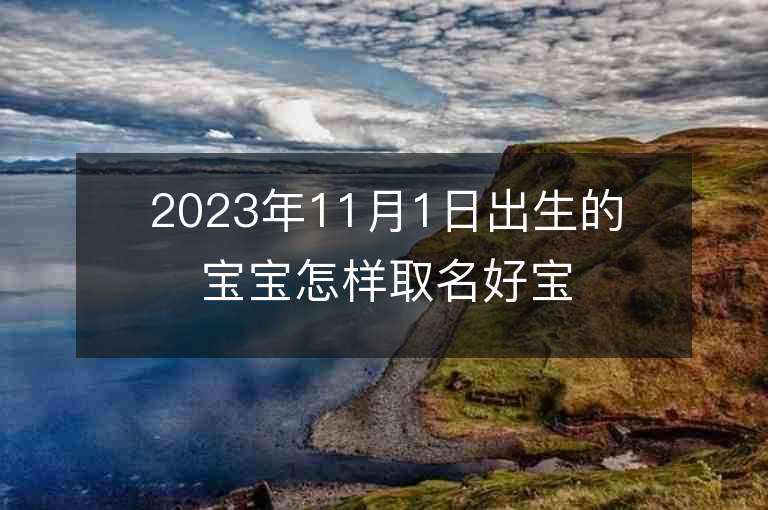 2023年11月1日出生的宝宝怎样取名好宝宝起名推荐