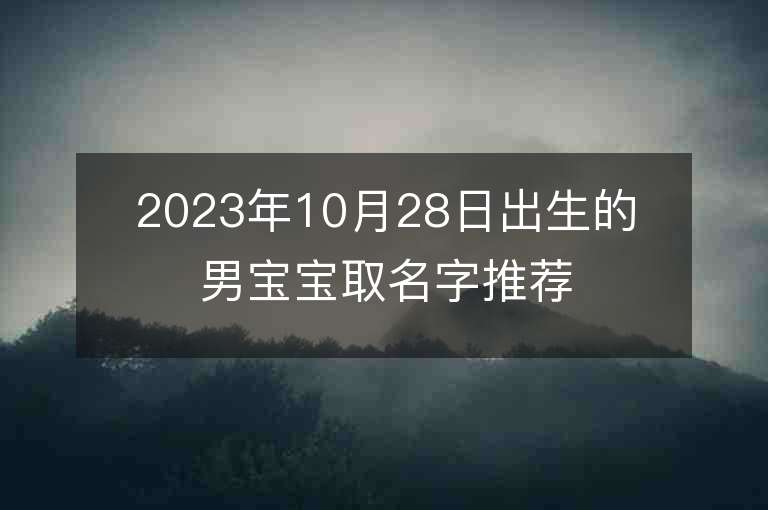 2023年10月28日出生的男宝宝取名字推荐先看八字后取名推荐