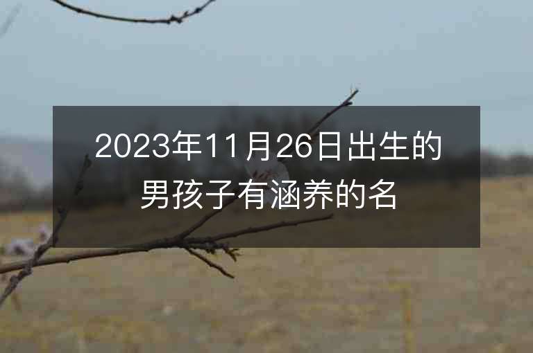 2023年11月26日出生的男孩子有涵养的名字英俊潇洒的名字推荐