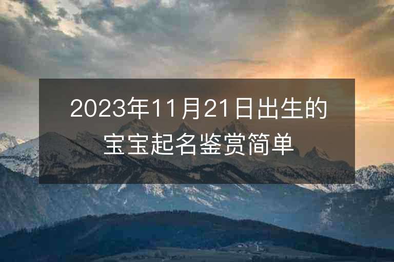 2023年11月21日出生的宝宝起名鉴赏简单大气的女孩子名字推荐