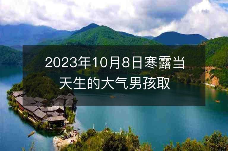 2023年10月8日寒露当天生的大气男孩取名字推荐