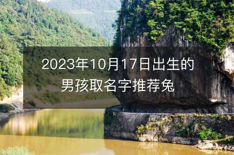 2023年10月17日出生的男孩取名字推荐兔宝宝的名字就应该这样取