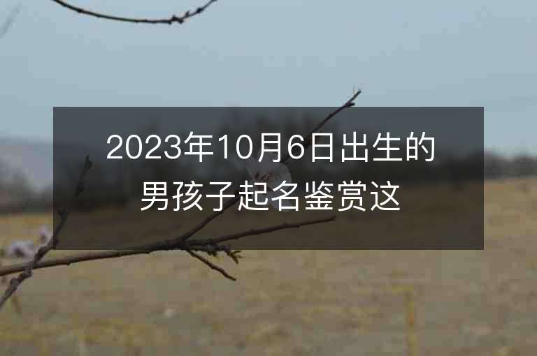 2023年10月6日出生的男孩子起名鉴赏这样取名实在太赞了