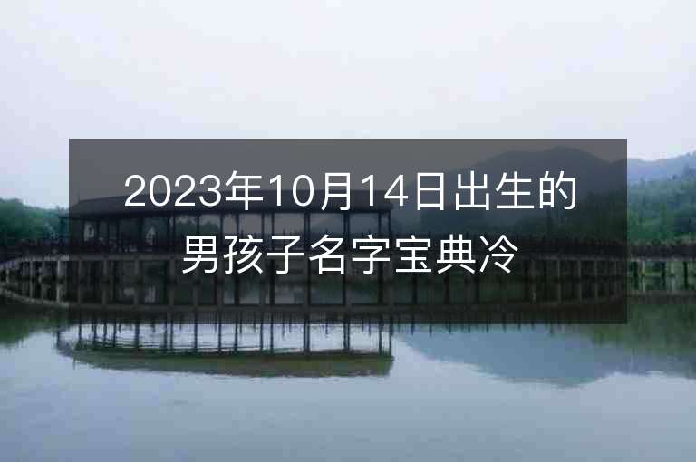 2023年10月14日出生的男孩子名字宝典冷门高级的名字推荐