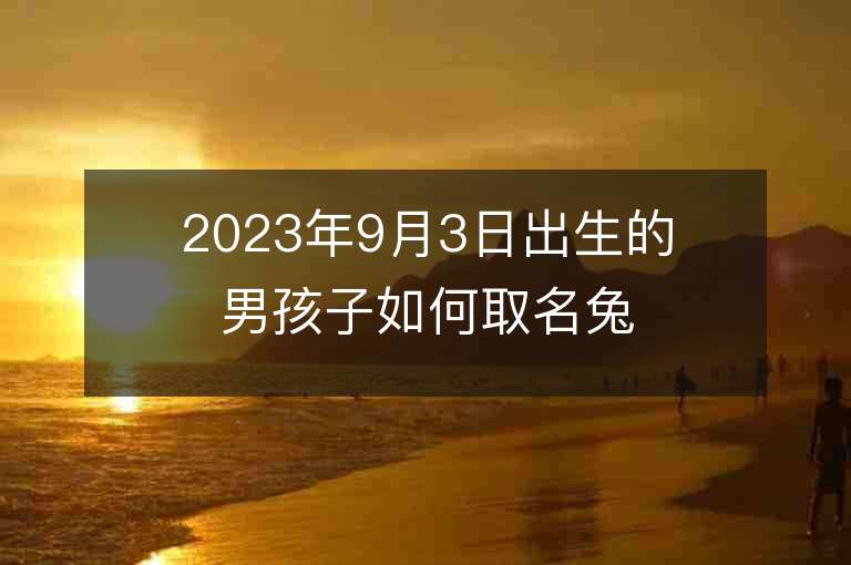 2023年9月3日出生的男孩子如何取名兔年男宝宝最佳取名精选