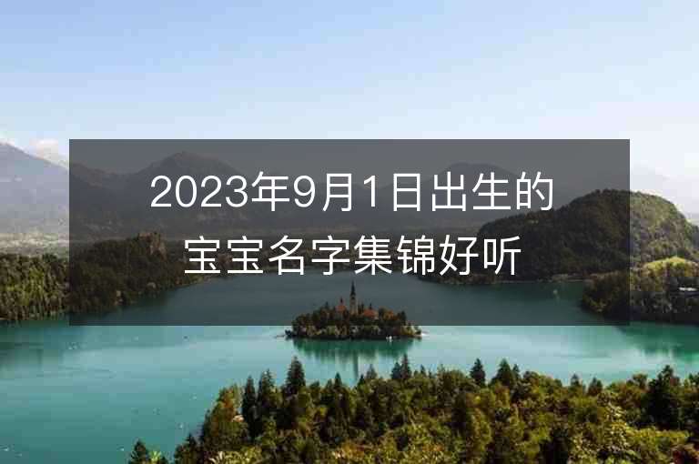 2023年9月1日出生的宝宝名字集锦好听稀少的男孩子宝宝名字推荐