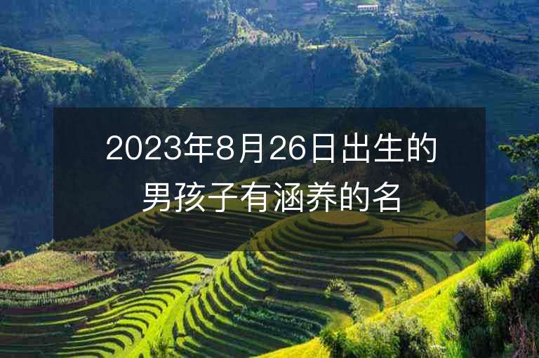 2023年8月26日出生的男孩子有涵养的名字最文静典雅的取名精选